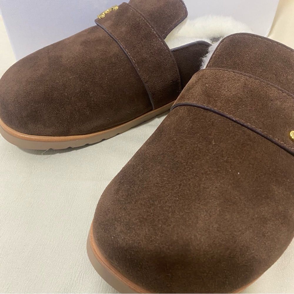 Celine Brown Suede Women's Shoes with Gold Accent - Picture 2 of 5